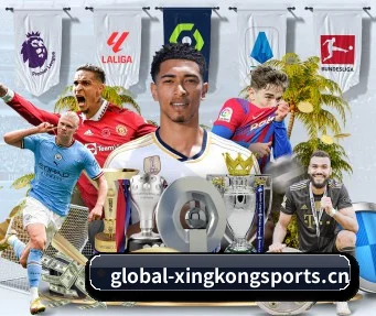 星空体育app APP(XINGKONG SPORTS)